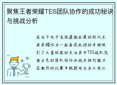 聚焦王者荣耀TES团队协作的成功秘诀与挑战分析